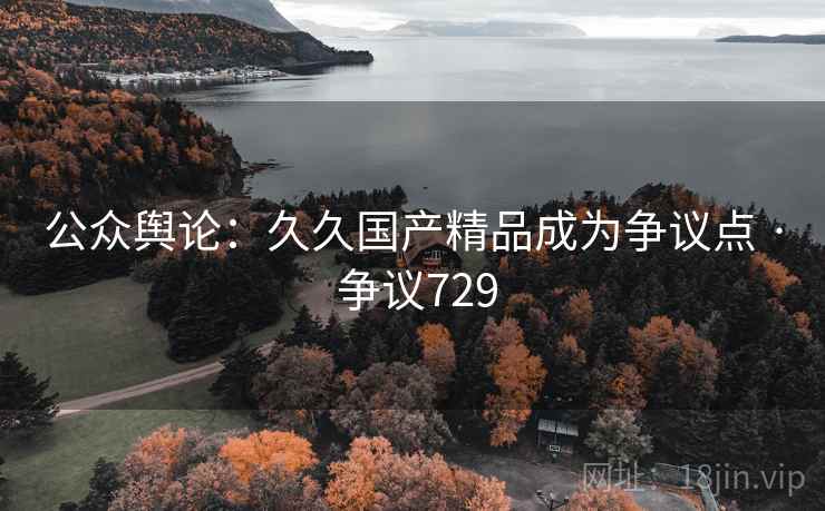 公众舆论：久久国产精品成为争议点 · 争议729