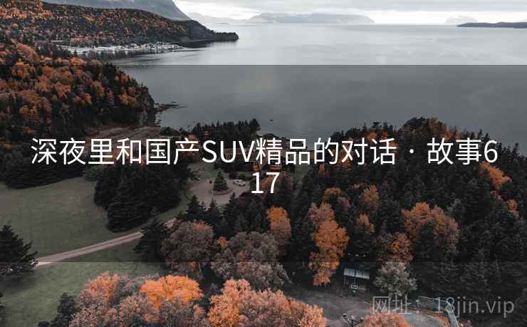 深夜里和国产SUV精品的对话 · 故事617