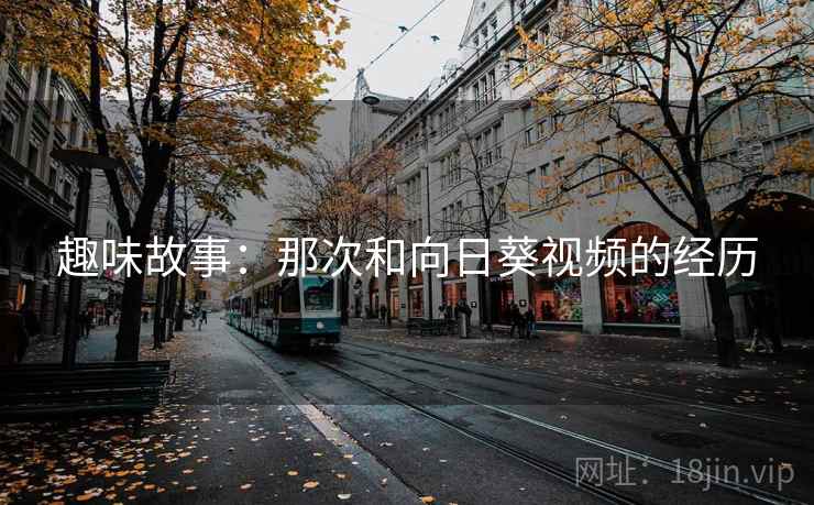 趣味故事：那次和向日葵视频的经历